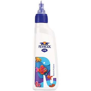 FEVICOL 60