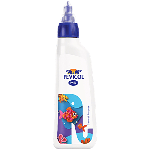 FEVICOL 60