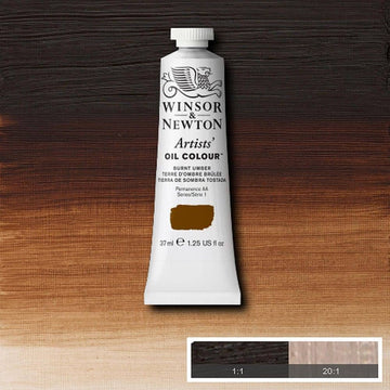 WN 37ML OIL BURNT UMBER